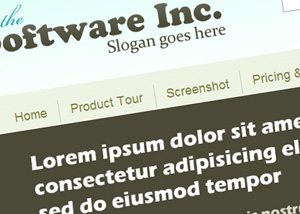 Software Selling Template
